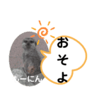 たけしのスタンプ その28（個別スタンプ：20）