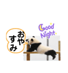 たけしのスタンプ その28（個別スタンプ：21）