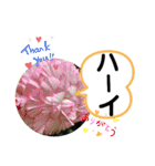 たけしのスタンプ その28（個別スタンプ：24）