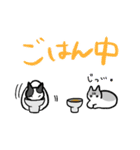 ねこ 日常スタンプ（個別スタンプ：7）