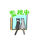 ねこ 日常スタンプ（個別スタンプ：10）