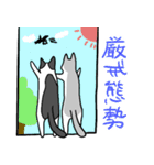 ねこ 日常スタンプ（個別スタンプ：11）