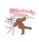 楽しいことが好きな猫と犬（個別スタンプ：37）