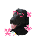 Jack4 eiko（個別スタンプ：1）