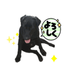 Jack4 eiko（個別スタンプ：2）