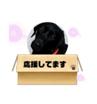 Jack4 eiko（個別スタンプ：3）