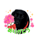 Jack4 eiko（個別スタンプ：5）