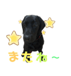 Jack4 eiko（個別スタンプ：8）