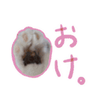こてつのスタンプVol.3（個別スタンプ：2）