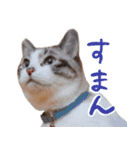 こてつのスタンプVol.3（個別スタンプ：7）