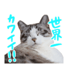 こてつのスタンプVol.3（個別スタンプ：9）