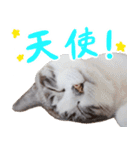 こてつのスタンプVol.3（個別スタンプ：12）