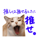こてつのスタンプVol.3（個別スタンプ：15）