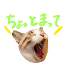 こてつのスタンプVol.3（個別スタンプ：22）