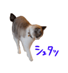 こてつのスタンプVol.3（個別スタンプ：31）