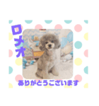 HappyBathPepのお友達 I（個別スタンプ：1）
