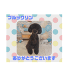 HappyBathPepのお友達 I（個別スタンプ：5）