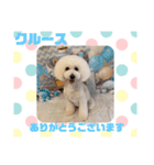 HappyBathPepのお友達 I（個別スタンプ：9）