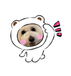 HappyBathPepのお友達 I（個別スタンプ：11）