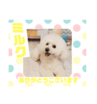 HappyBathPepのお友達 I（個別スタンプ：13）