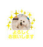 HappyBathPepのお友達 I（個別スタンプ：16）