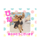 HappyBathPepのお友達 I（個別スタンプ：17）