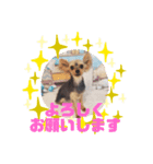 HappyBathPepのお友達 I（個別スタンプ：20）