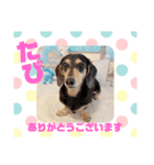 HappyBathPepのお友達 I（個別スタンプ：21）