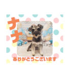 HappyBathPepのお友達 I（個別スタンプ：25）