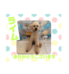 HappyBathPepのお友達 I（個別スタンプ：29）
