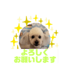 HappyBathPepのお友達 I（個別スタンプ：32）