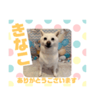 HappyBathPepのお友達 I（個別スタンプ：33）