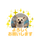HappyBathPepのお友達 I（個別スタンプ：36）