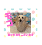 HappyBathPepのお友達 I（個別スタンプ：37）