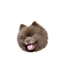 けむりすたんぷ（個別スタンプ：5）