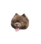 けむりすたんぷ（個別スタンプ：8）