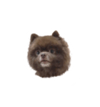 けむりすたんぷ（個別スタンプ：14）