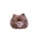 けむりすたんぷ（個別スタンプ：19）