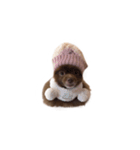 けむりすたんぷ（個別スタンプ：21）
