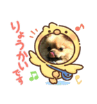 丸マルまるスタンプ（個別スタンプ：8）