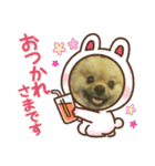 丸マルまるスタンプ（個別スタンプ：12）