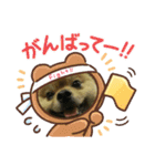 丸マルまるスタンプ（個別スタンプ：16）