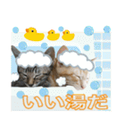 Johnny ＆ Chocola ＆ かりん ❽（個別スタンプ：12）