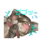 Johnny ＆ Chocola ＆ かりん ❽（個別スタンプ：16）