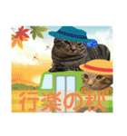 Johnny ＆ Chocola ＆ かりん ❽（個別スタンプ：37）