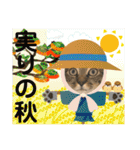 Johnny ＆ Chocola ＆ かりん ❽（個別スタンプ：38）
