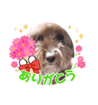 さとうまめスタンプ（個別スタンプ：1）