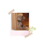 さとうまめスタンプ（個別スタンプ：9）