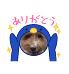 さとうまめスタンプ（個別スタンプ：24）