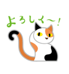 猫はシッポで語る（個別スタンプ：14）